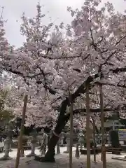 伊和志津神社の自然