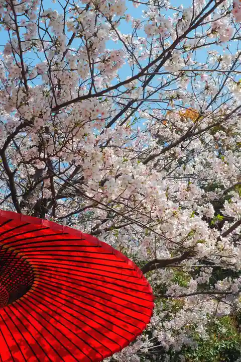 夜疑神社(大阪府)