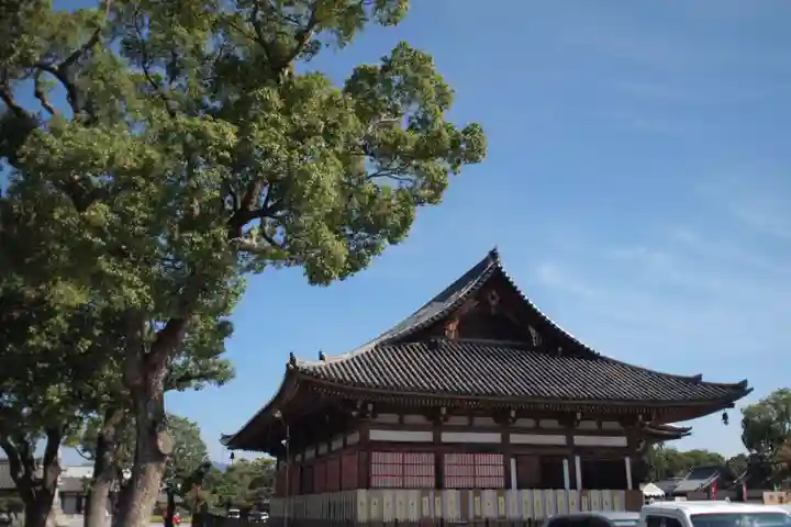 東寺(教王護国寺)の本殿・本堂