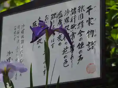 明月院(神奈川県)