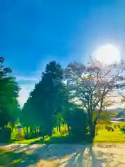 平澤八幡神社(茨城県)