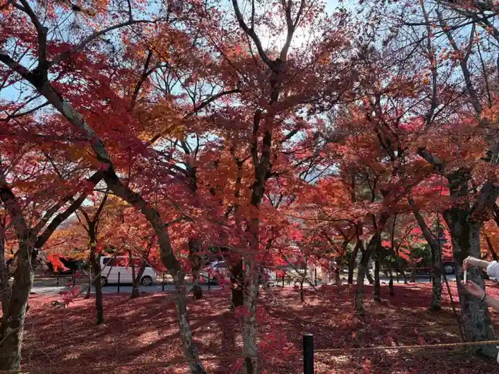 天龍寺(京都府)