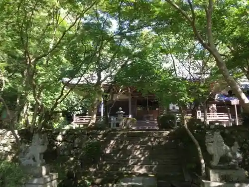 勝持寺（花の寺）(京都府)