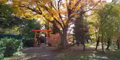 上富良野神社の自然