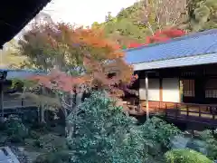 安楽寺(京都府)