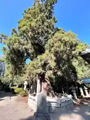 大隴神社(滋賀県)