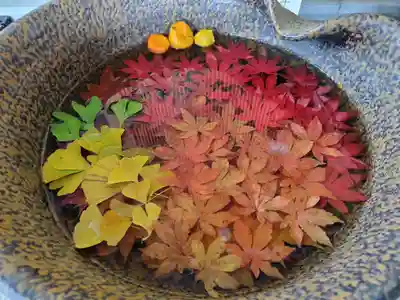 美瑛神社の手水舎