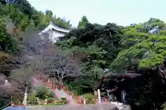 竹生島神社（都久夫須麻神社）(滋賀県)