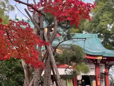多摩川浅間神社(東京都)