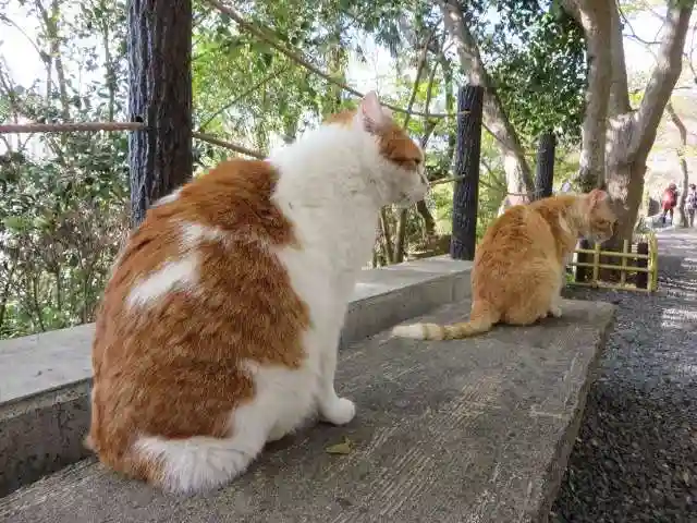 熊野若王子神社(京都府)