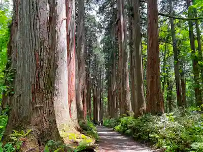 戸隠神社奥社(長野県)