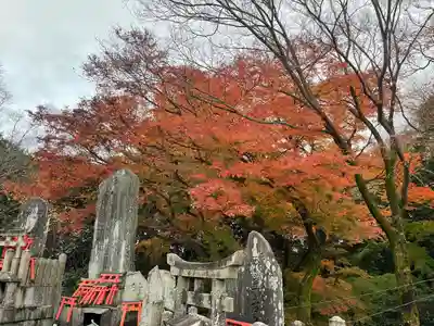 伏見稲荷大社(京都府)