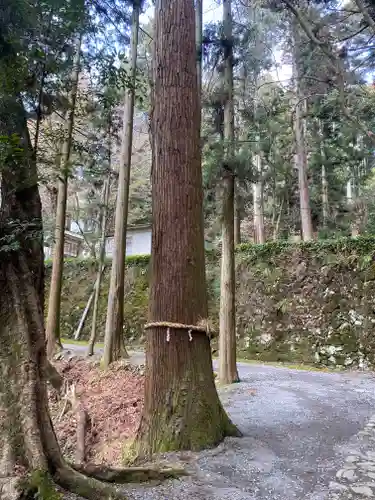 本山寺(大阪府)