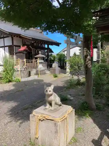 阿豆佐味天神社 立川水天宮の狛犬