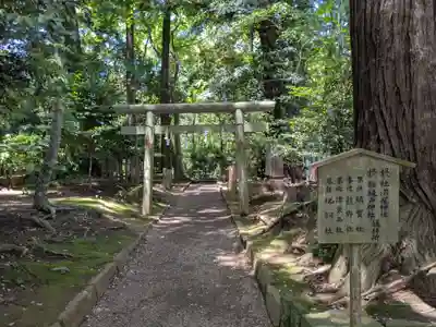 鹿島神宮(茨城県)
