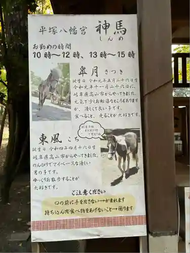 平塚八幡宮(神奈川県)