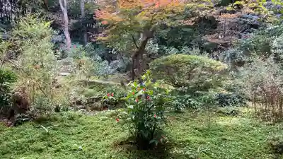 厭離庵(京都府)