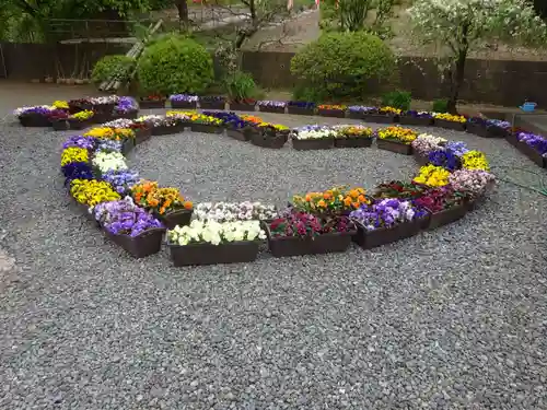 専念寺の庭園