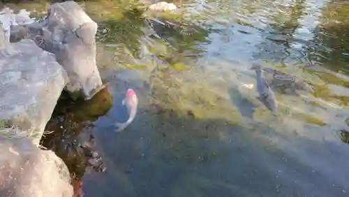 北海道護國神社の庭園