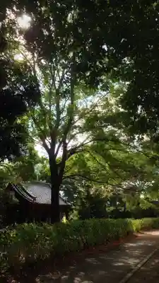 白髭社のその他建物