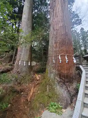 姥宮神社の自然