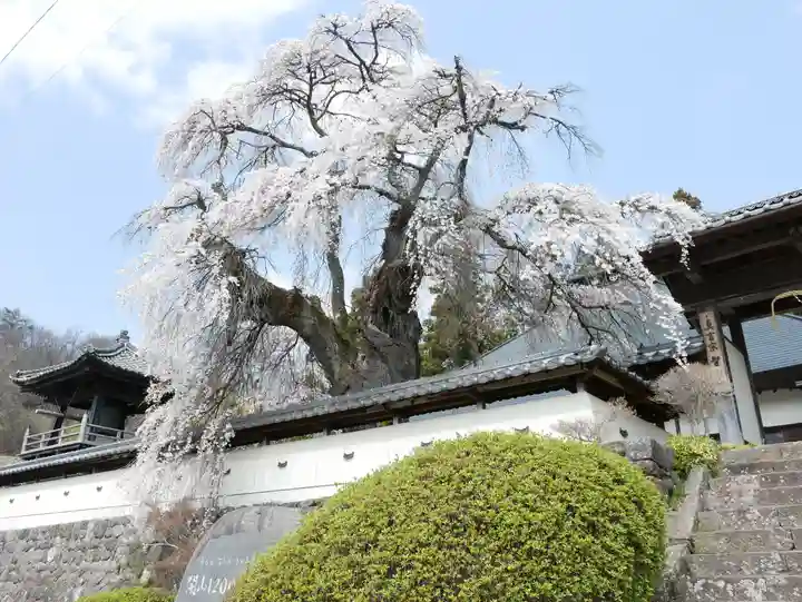 福王寺のその他建物