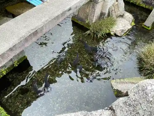 十王地蔵尊 (十王村の水)の{uncategorized: "未分類", other: "その他", undefined: "問題あり", building: "その他建物", grave: "お墓", sacred_gate: "鳥居", guardian: "狛犬", statue: "像", buddha: "仏像", history: "歴史", nature: "自然", garden: "庭園", animal: "動物", pagoda: "塔", temizu: "手水舎", mountain_gate: "山門・神門", sanctuary: "本殿・本堂", subordinate: "末社・摂社", art: "芸術", scenery: "景色", jizo: "地蔵", ema: "絵馬", goshuin: "御朱印", omikuji: "おみくじ", items: "授与品その他", amulet: "お守り", goshuincho: "御朱印帳", eats: "食事", festival: "お祭り", votive_dance: "神楽", shichigosan: "七五三参", wedding: "結婚式", experience: "体験その他", initially: "初詣", around: "周辺", anti_infection: "感染症対策"}