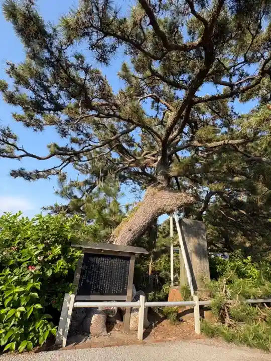 御穂神社の{uncategorized: "未分類", other: "その他", undefined: "問題あり", building: "その他建物", grave: "お墓", sacred_gate: "鳥居", guardian: "狛犬", statue: "像", buddha: "仏像", history: "歴史", nature: "自然", garden: "庭園", animal: "動物", pagoda: "塔", temizu: "手水舎", mountain_gate: "山門・神門", sanctuary: "本殿・本堂", subordinate: "末社・摂社", art: "芸術", scenery: "景色", jizo: "地蔵", ema: "絵馬", goshuin: "御朱印", omikuji: "おみくじ", items: "授与品その他", amulet: "お守り", goshuincho: "御朱印帳", eats: "食事", festival: "お祭り", votive_dance: "神楽", shichigosan: "七五三参", wedding: "結婚式", experience: "体験その他", initially: "初詣", around: "周辺", anti_infection: "感染症対策"}