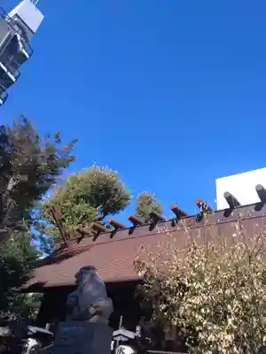 高円寺氷川神社の狛犬
