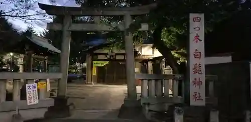 白髭神社(東京都)