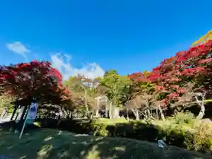 土津神社|こどもと出世の神さまの景色(2022年10月26日(水) 12時21分37秒投稿)