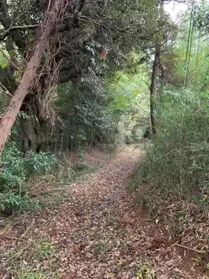 青龍大権現(千葉県)