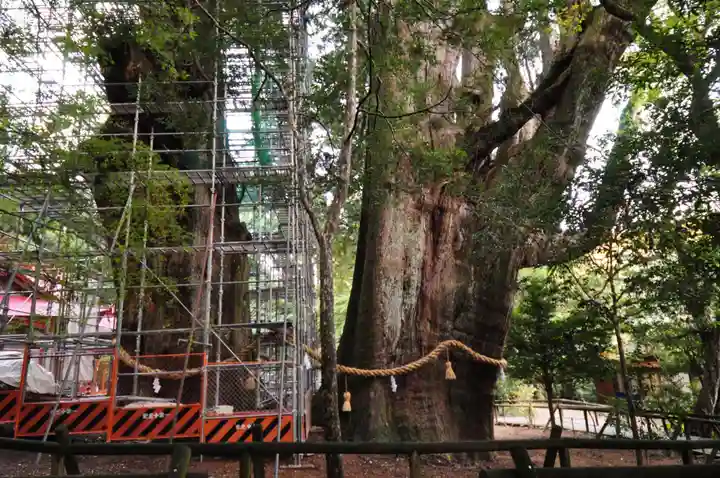 八坂神社(高知県)