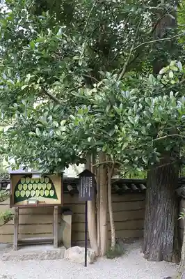 法起院(奈良県)