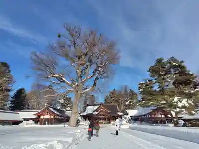 北海道護國神社(北海道)