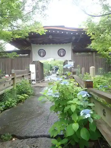 常泉寺(神奈川県)