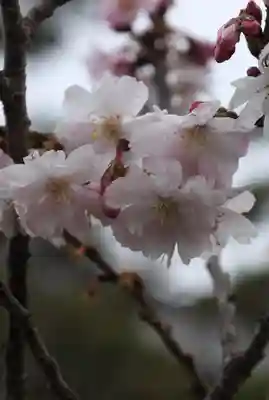 妙蓮寺(京都府)