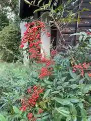 一条山宝蓮寺の景色