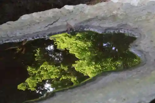 鹿島大神宮の手水舎