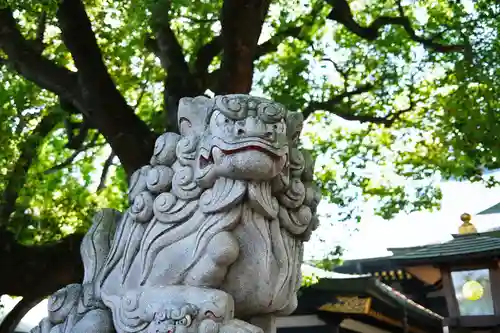 穴八幡宮の狛犬