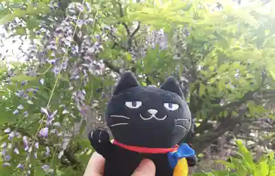 亀戸天神社(東京都)