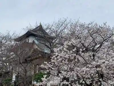 松前神社の自然