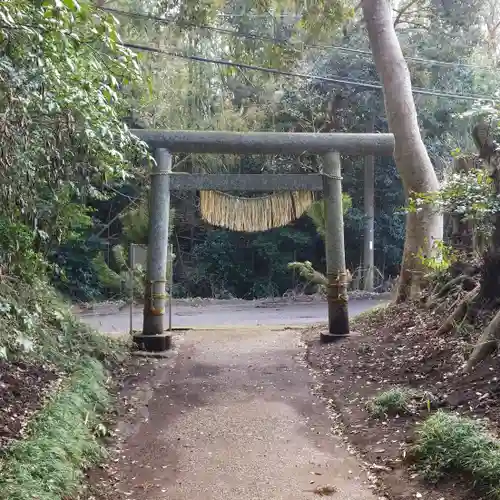 椿神社の鳥居