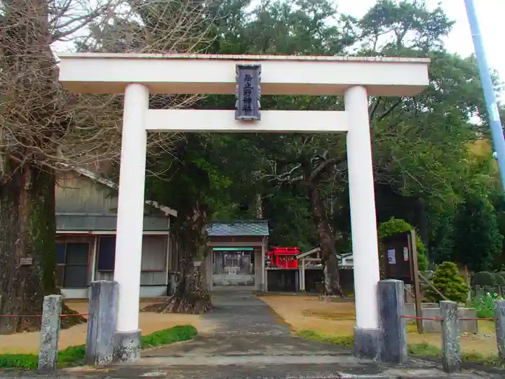 烏止野神社の鳥居