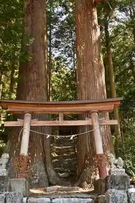 三所神社（桑の川の大杉）(高知県)