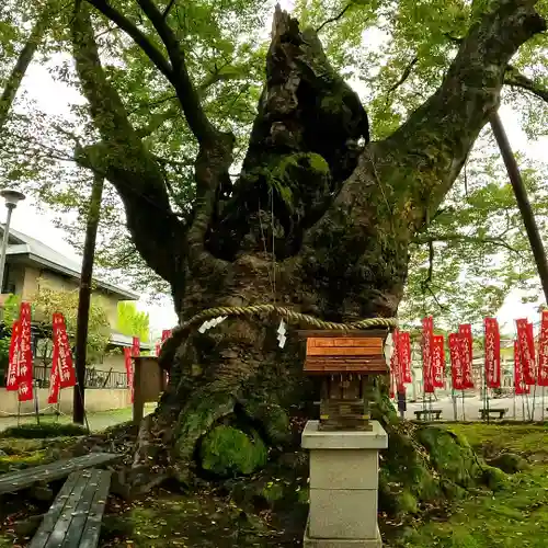 秩父今宮神社(埼玉県)