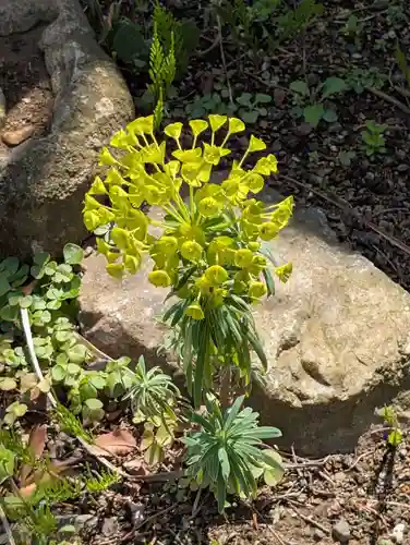 天徳寺(神奈川県)