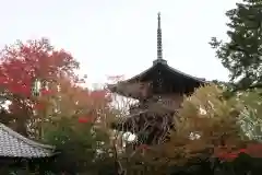 真正極楽寺（真如堂）(京都府)