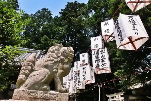 立志神社の狛犬