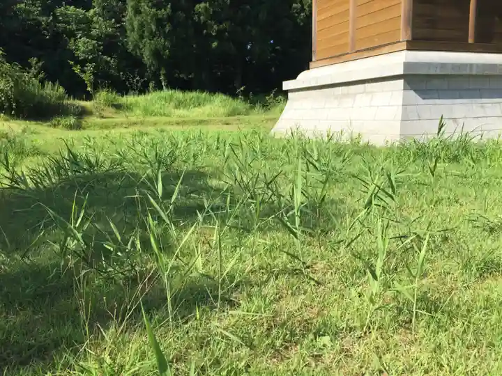 居多神社の自然